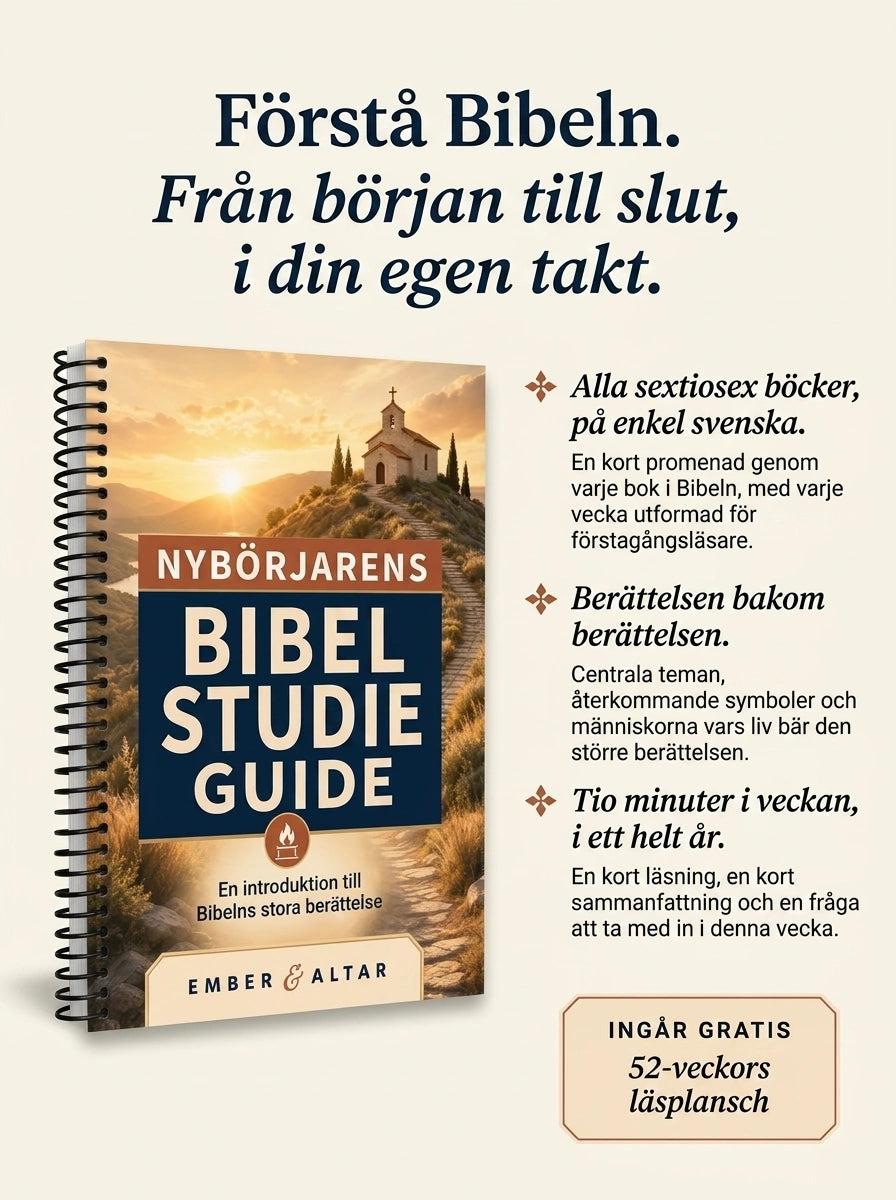 Gjord för att <em>läsas</em>, inte avkodas